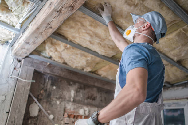 Best Local Insulation Services  in Otsego, MI