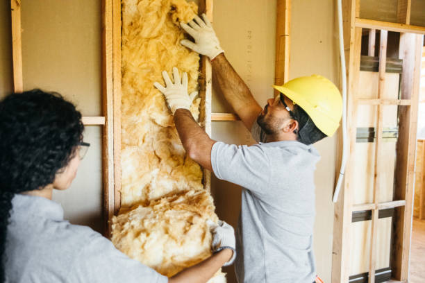 Best Residential Insulation Services  in Otsego, MI