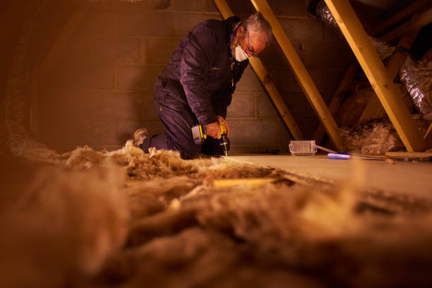 Best Garage Insulation Installation  in Otsego, MI